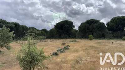 Fotografia 4 de Terreno urbano de 602 m² em Santo Isidro de Pegões