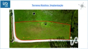 Terrain agricole   à Vagos
