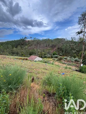 Farm in Castelo branco