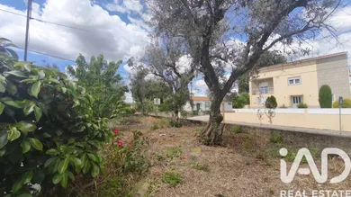Maison à oliveira do hospital
