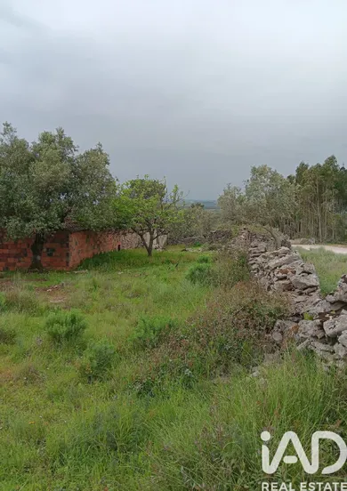 Casa/Moradia  em Aljubarrota