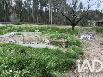 Fotografia 4 de Terreno de 1995 m² em São Joaninho