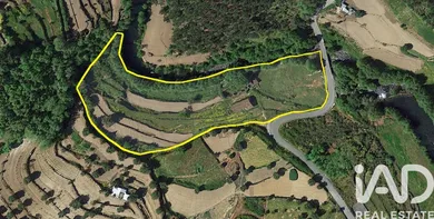 Quinta em Penalva do Castelo