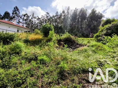 Fotografia 3 de Terreno misto de 1860 m² em Mujães