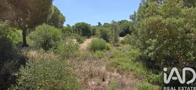 Terrain agricole   à Quarteira