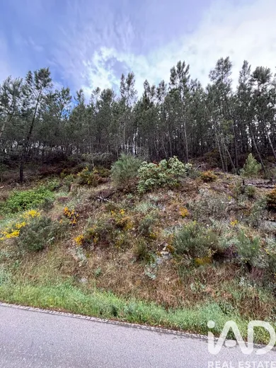 Terreno em Azenha de Cima