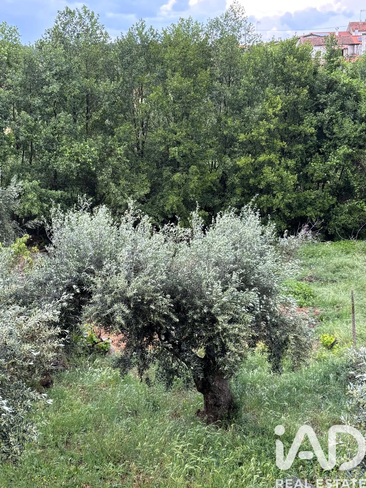 Terreno de 1400 m² em Azenha de Cima
