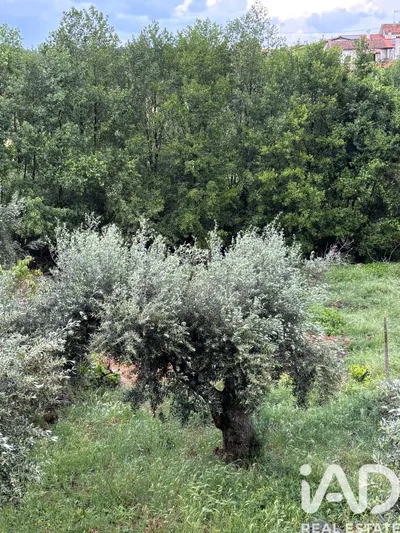 Fotografia 7 de Terreno urbano de 620 m² em Castelo Branco
