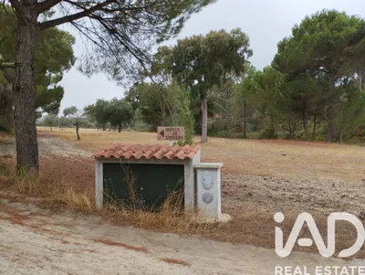 Fotografia 1 de Terreno rústico de 100 750 m² em Galveias