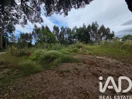 Terreno em Santa Comba Dao