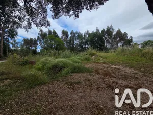 Terreno em Santa Comba Dao