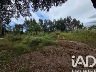 Terreno em Santa Comba Dao