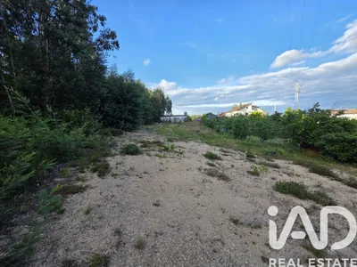 Fotografia 3 de Terreno de 7500 m² em Santa Comba Dão