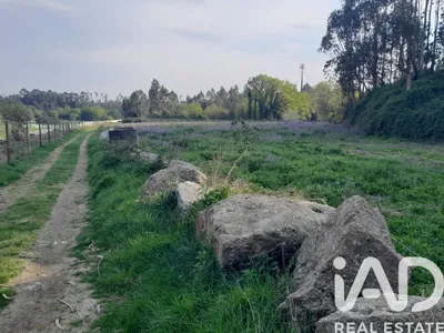 Fotografia 3 de Terreno rústico de 9500 m² em Vila Nova de Famalicão