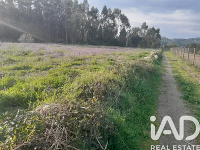 Fotografia 1 de Terreno rústico de 9500 m² em Vila Nova de Famalicão