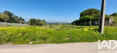 Terreno urbano em Aljubarrota