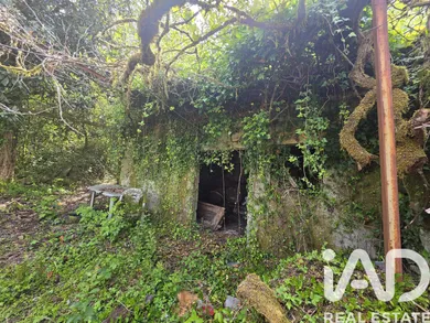 House in Portela