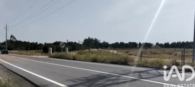 Terreno industrial  em Almeirim