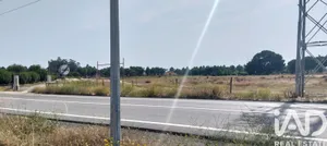Terreno industrial  em Almeirim