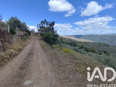 Fotografia 3 de Terreno de 16 400 m² em Mazouco