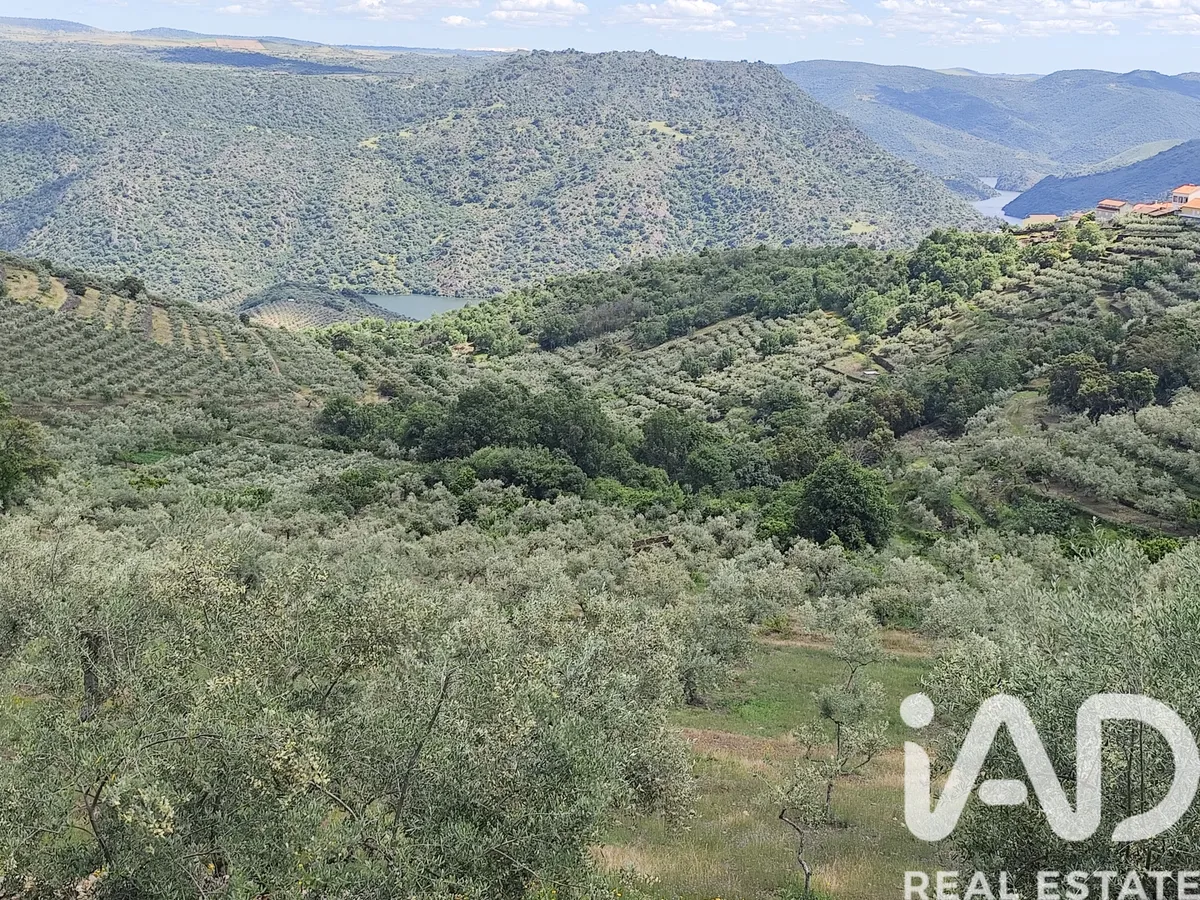 Terreno de 16 400 m² em Mazouco
