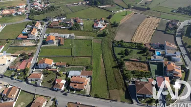 Terrain agricole à Estarreja