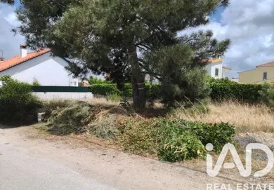Terreno  em São Simão