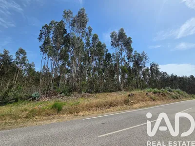 Fotografia 3 de Terreno de 1995 m² em São Joaninho