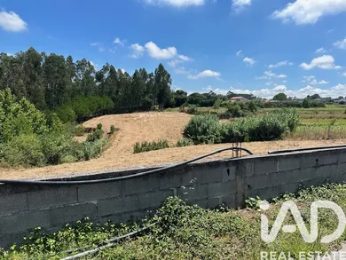 Terreno rústico  em Souto da Carpalhosa