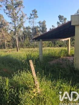 Farm land  in Vestiaria