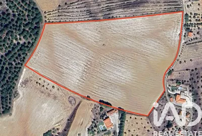 Fotografia 3 de Terreno de 54 520 m² em LAMAROSA