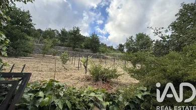 Rural farm in Vila Real