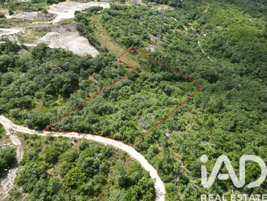 Land  in Leiria