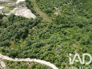 Terrain  à Leiria