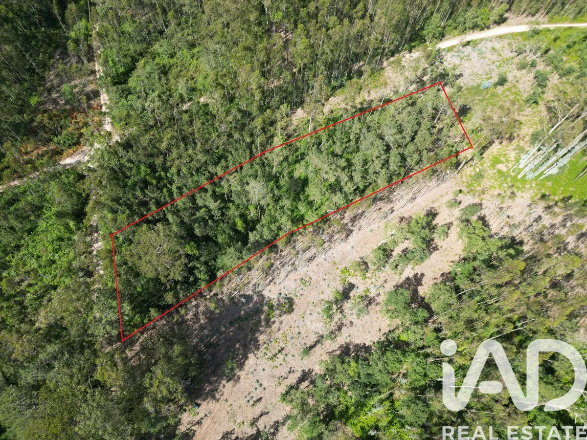 Terreno de 1160 m² em Leiria
