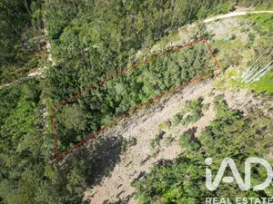 Land  in Leiria