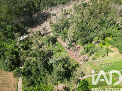 Fotografia 3 de Terreno de 1160 m² em Leiria