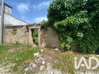 House in Barro Lobo