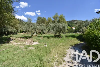 Fotografia 2 de Terreno rústico de 2317 m² em União das Freguesias de São Miguel, Santa Eufémia e Rabaçal