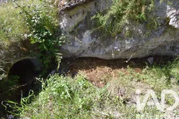 Farm land in União das Freguesias de São Miguel, Santa Eufémia e Rabaçal