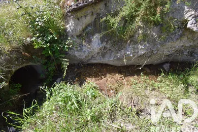 Farm land in União das Freguesias de São Miguel, Santa Eufémia e Rabaçal