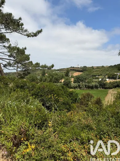 Farm land  in Santo Isidoro
