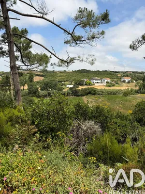 Terrain agricole à Santo Isidoro