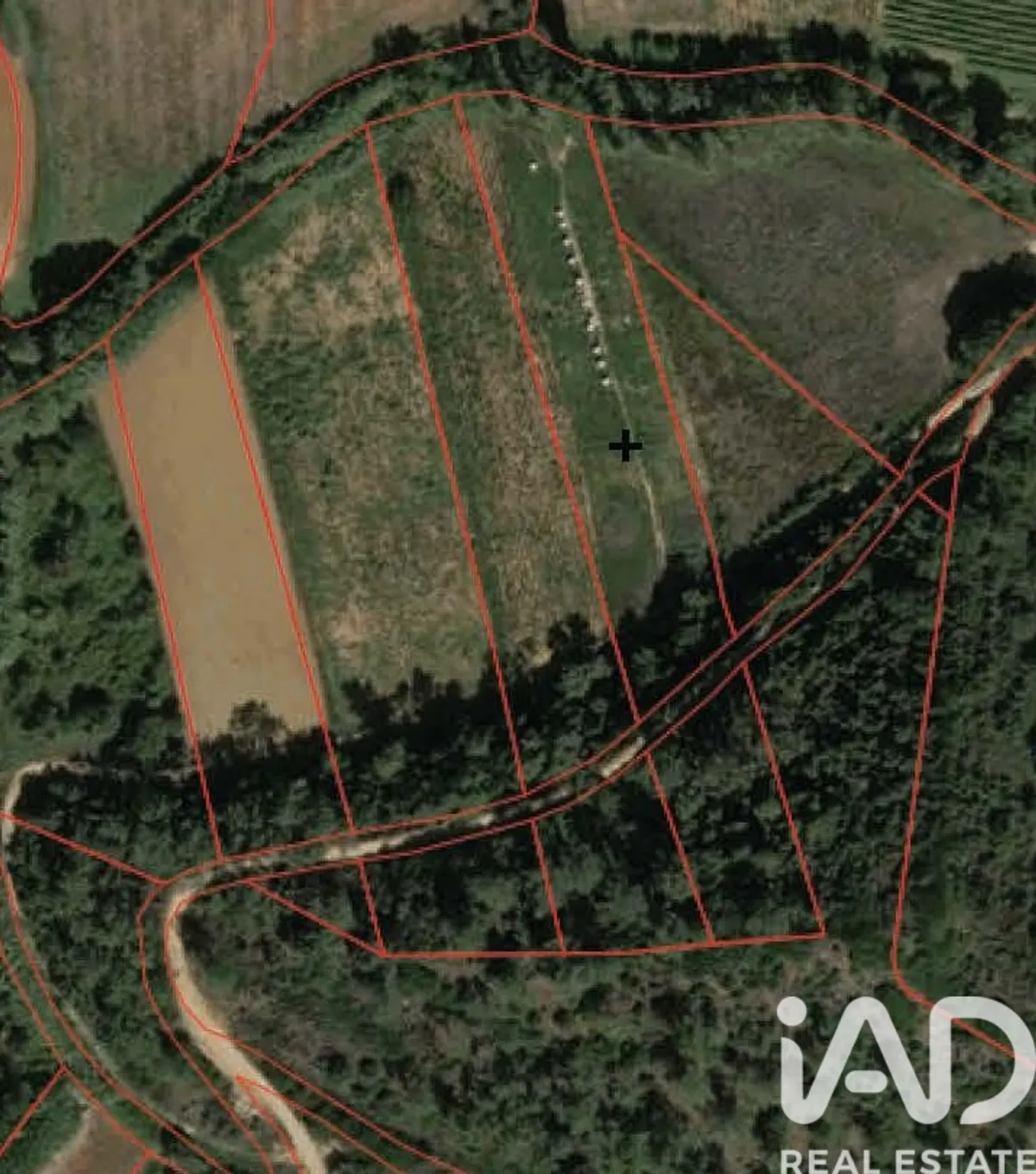Terreno rústico de 3500 m² em Santo Isidoro