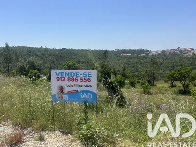 Fotografia 1 de Terreno rústico de 2880 m² em Pombal