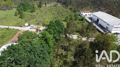 Fotografia 3 de Terreno rústico de 7940 m² em Sangalhos