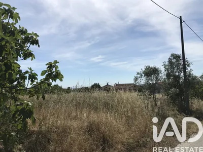 Fotografia 3 de Terreno urbano de 1793 m² em Colmeias