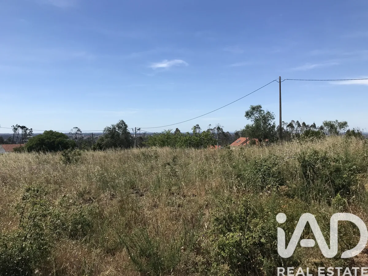 Terreno urbano de 1793 m² em Colmeias