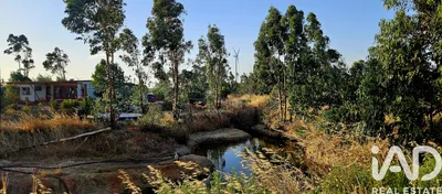 Fotografia 3 de Terreno rústico de 71 200 m² em Barao de Sao Joao