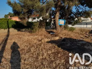 Land in São Simão